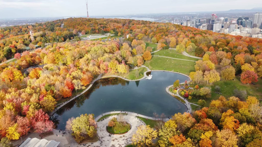 La meilleure saison pour visiter le parc