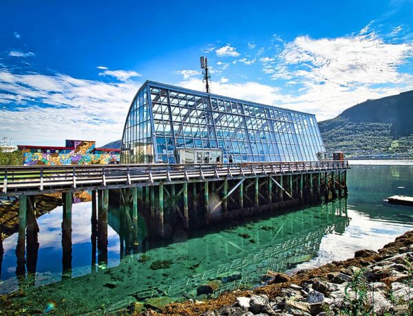 Découvrez le MS Polstjerna à Tromsø