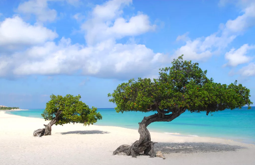 La plage paradisiaque à Aruba est parfaite en automne