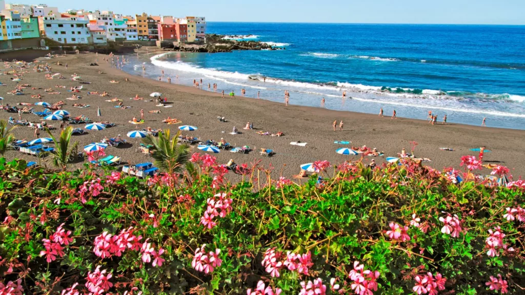Explorez les plages de Tenerife en Automne