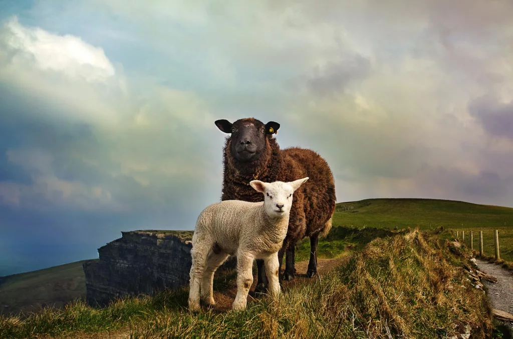 Découvrez les iles d'Aran, en Irlande