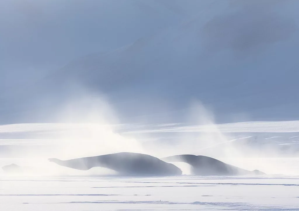 Observez des baleines dans leur milieu naturel en Islande