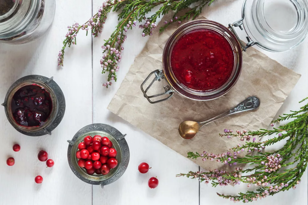 La sauce de cranberry, un vrai délice