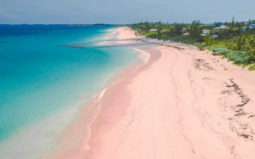 Les magnifiques plages roses des Bahamas