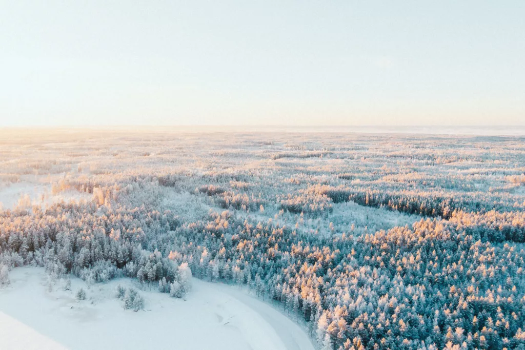 Visitez la Laponie et les aurores boréales nordiques