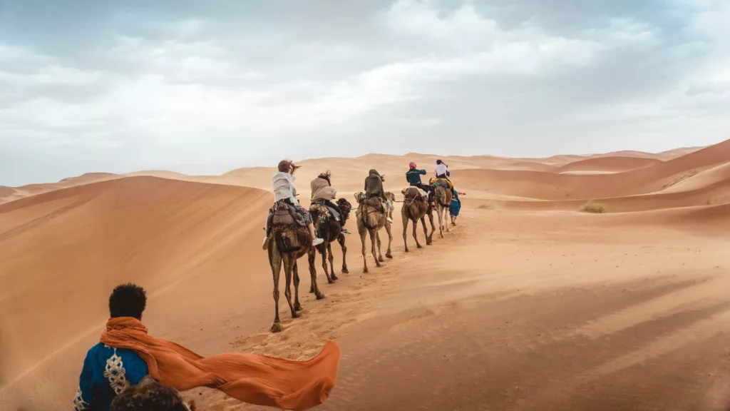 Découvrez le Sahara en février