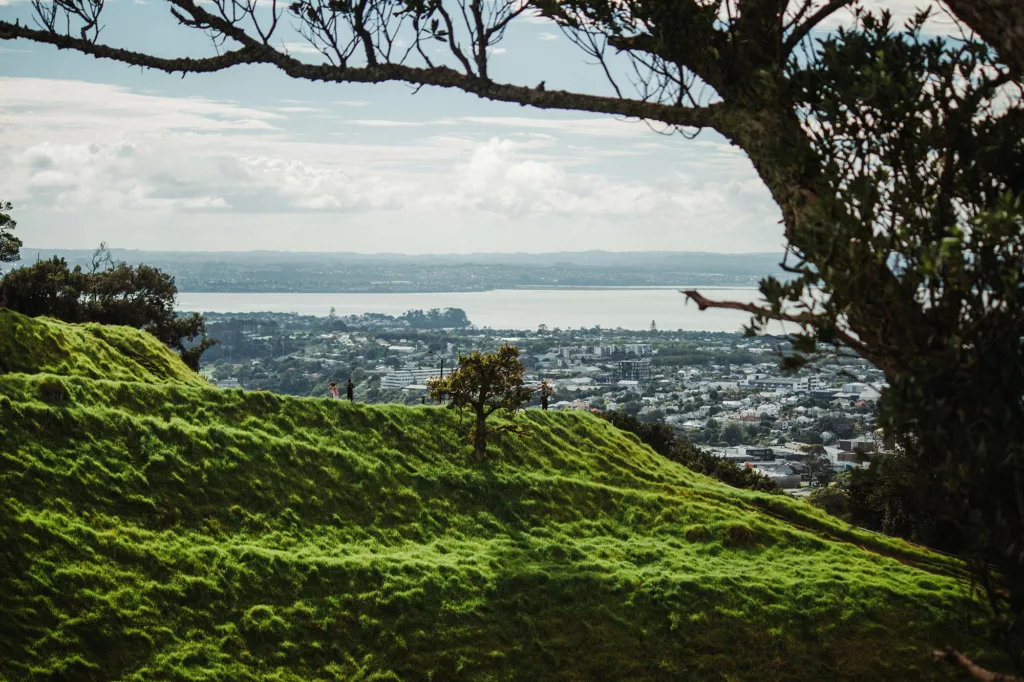 Une magnifique vue sur Auckland et ses environs