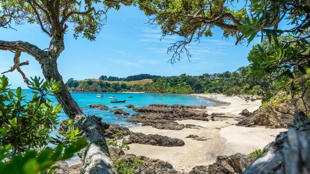 Faire un superbe day-trip sur Waiheke Island