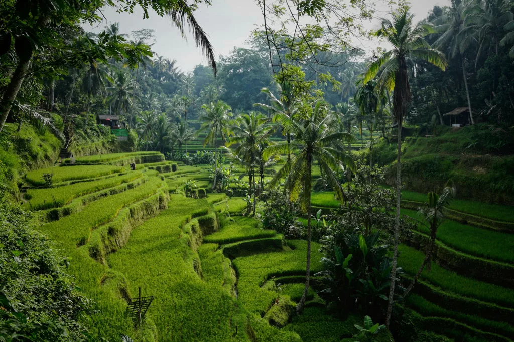 Bali, une île idyllique pour la retraite
