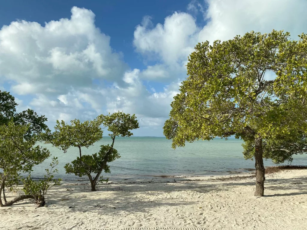 Découvrez Isla Holbox au Mexique