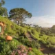 Visitez l'Hobbiton Movie Set, en plein cœur de la Nouvelle-Zélande