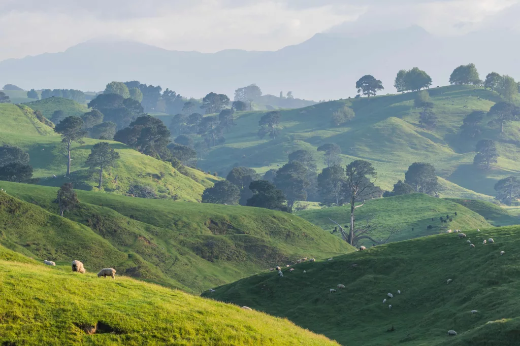 La ferme Alexander, où est installé Hobbiton