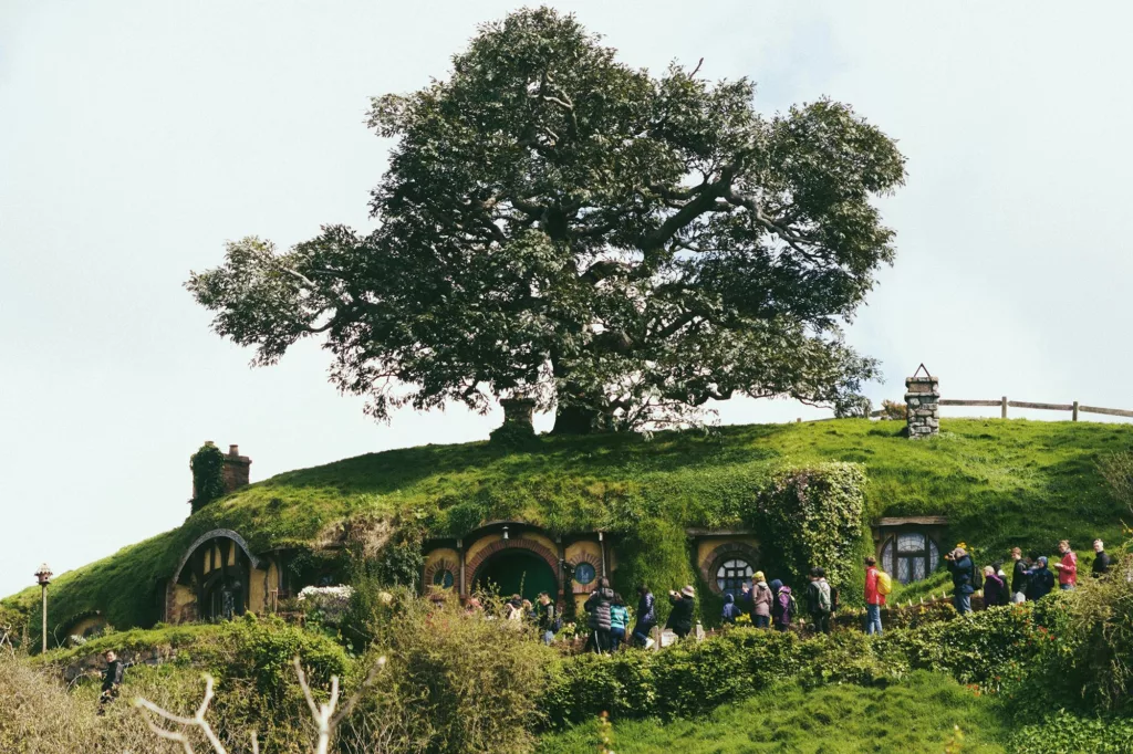 Le célèbre arbre de la Compté