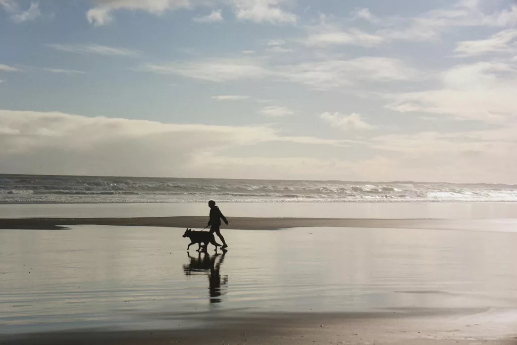 La plage de Piha en bref