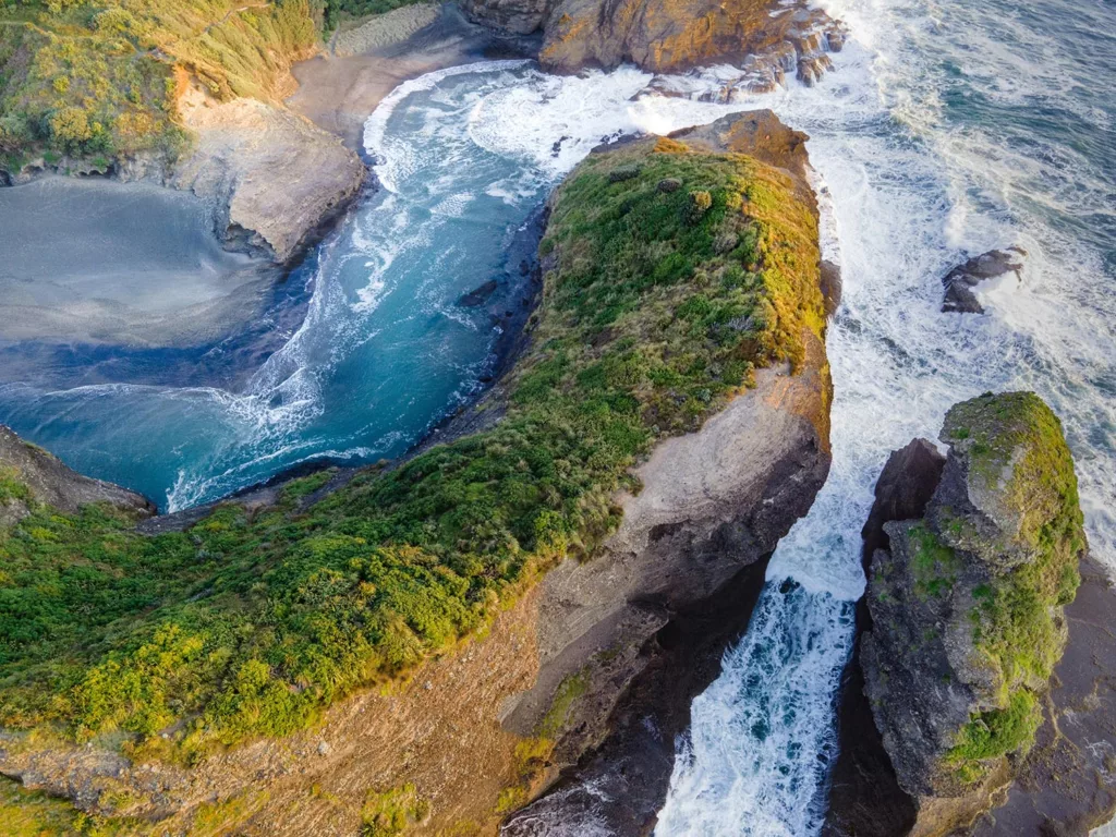 Explorez de superbes randonnées depuis Piha Beach