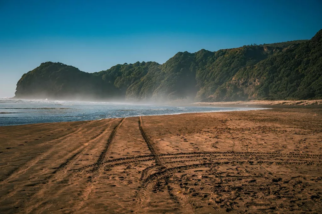 Combien coûte l'entrée de Piha Beach ?