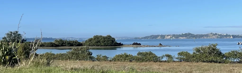 Les sentiers de randonnée le long de Rangitoto