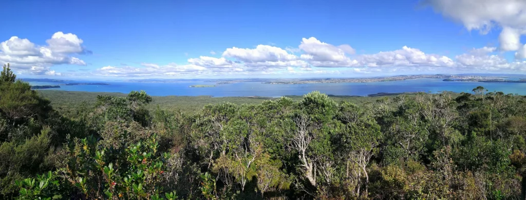 Les forêts et la nature de Rangitoto