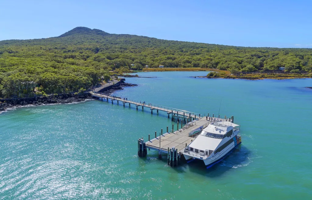 Comment se rendre sur Rangitoto