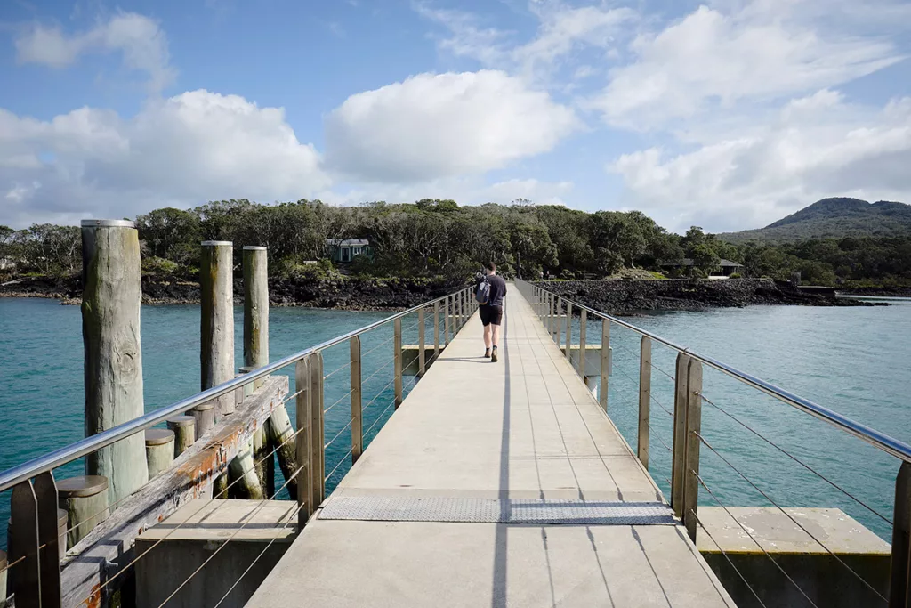 Tarifs pour se rendre sur Rangitoto