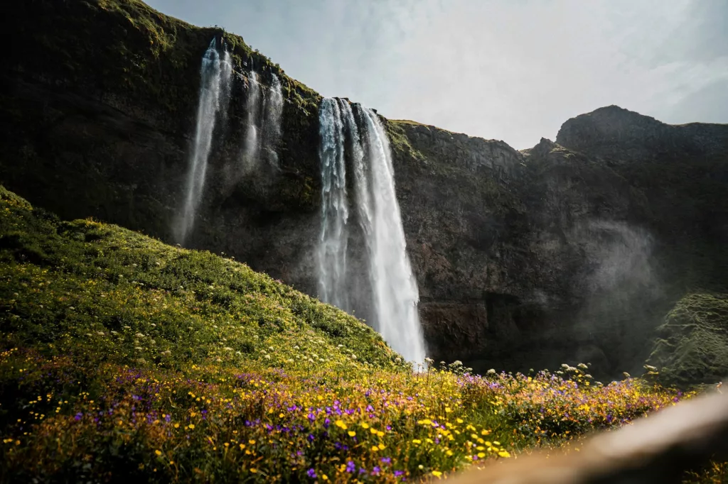 Découvrez une des plus belles cascades d'Islande