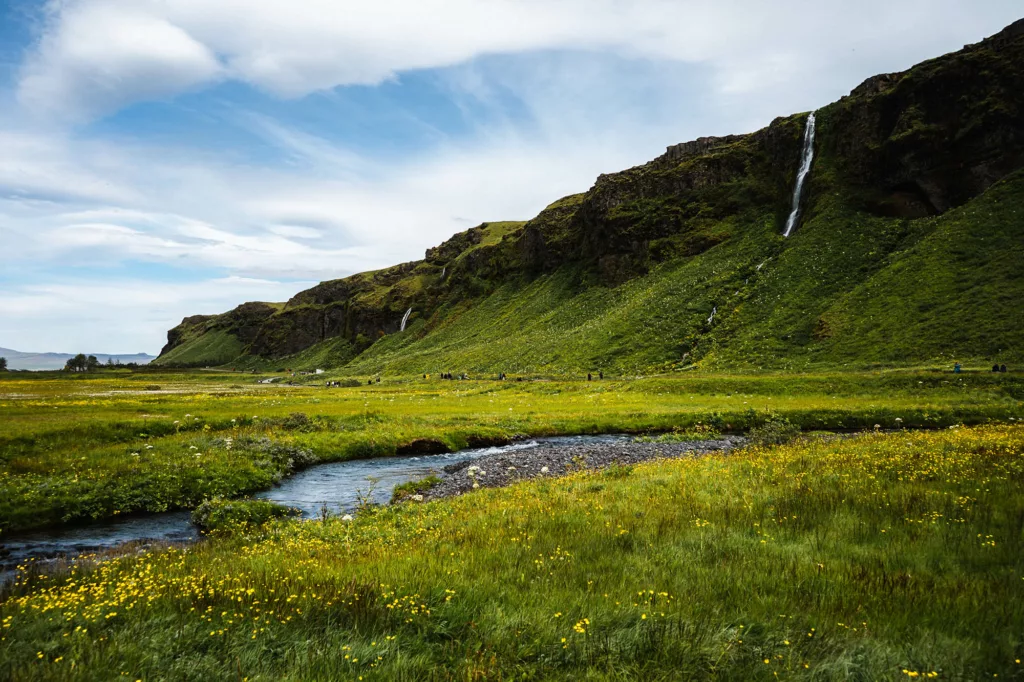 Que faire dans les environs de Seljalandsfoss ?