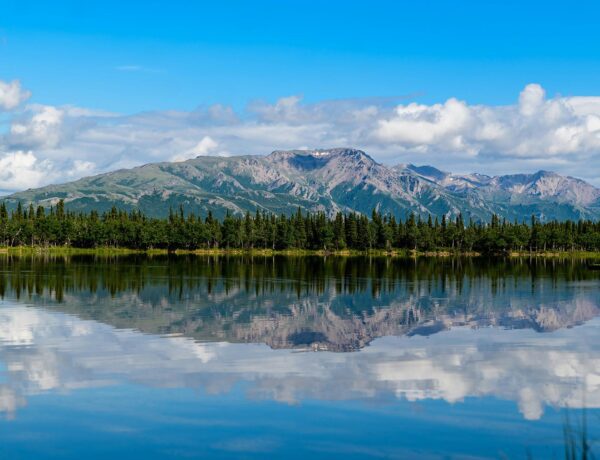 Les raisons de visiter l'Alaska cette année