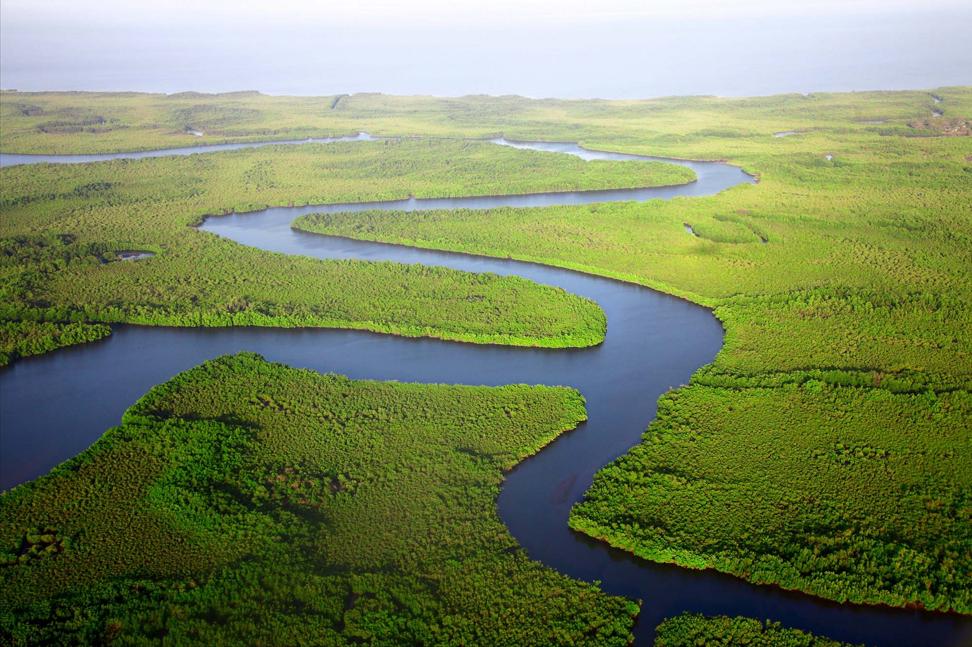 Les superbes paysages verts de la Gambie